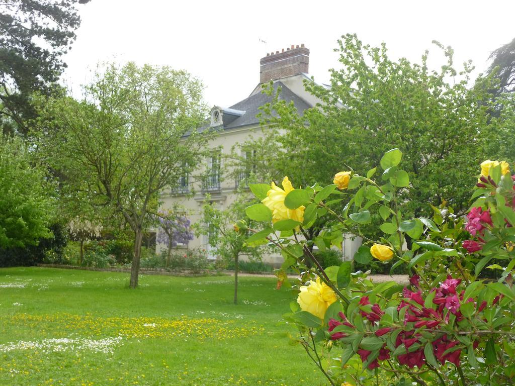 Bed and Breakfast Cedre Et Charme Saint-Branchs Exterior foto
